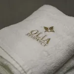 Olia Apartment *